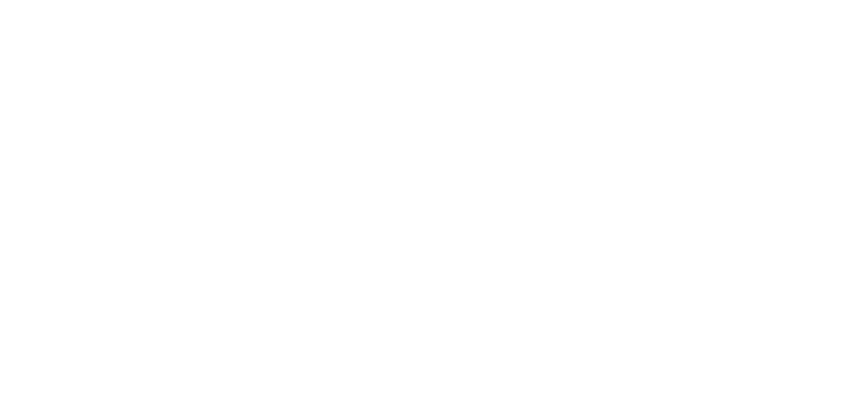 Archer Stone Canyon Logo